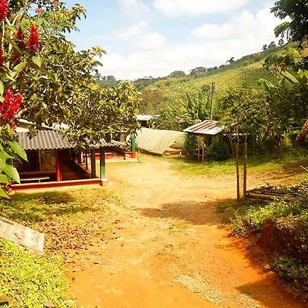 Caficultur -Alojamiento Rural Buenavista (Quindio) Exterior foto
