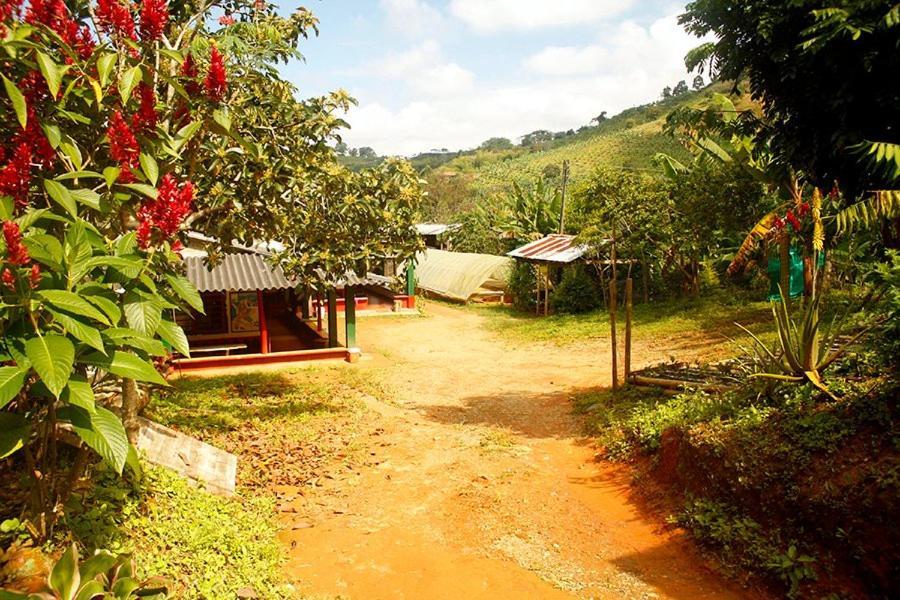Caficultur -Alojamiento Rural Buenavista (Quindio) Exterior foto