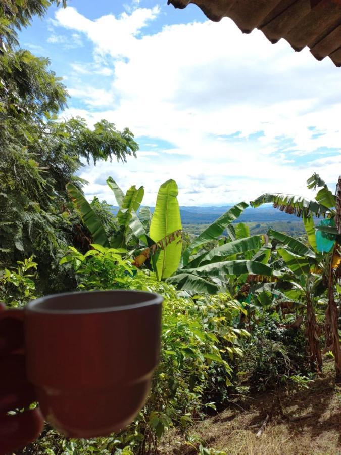 Caficultur -Alojamiento Rural Buenavista (Quindio) Exterior foto
