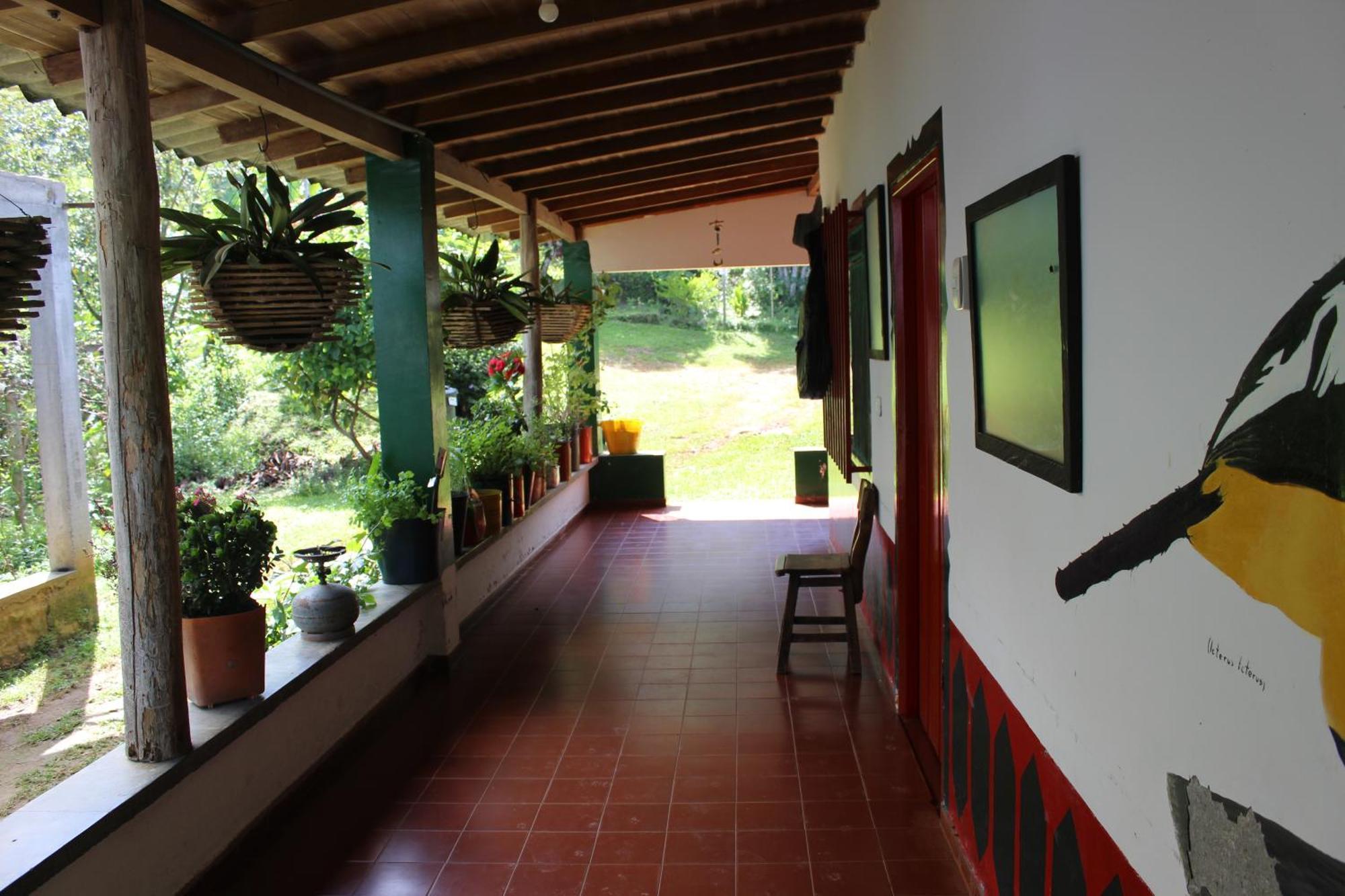 Caficultur -Alojamiento Rural Buenavista (Quindio) Exterior foto